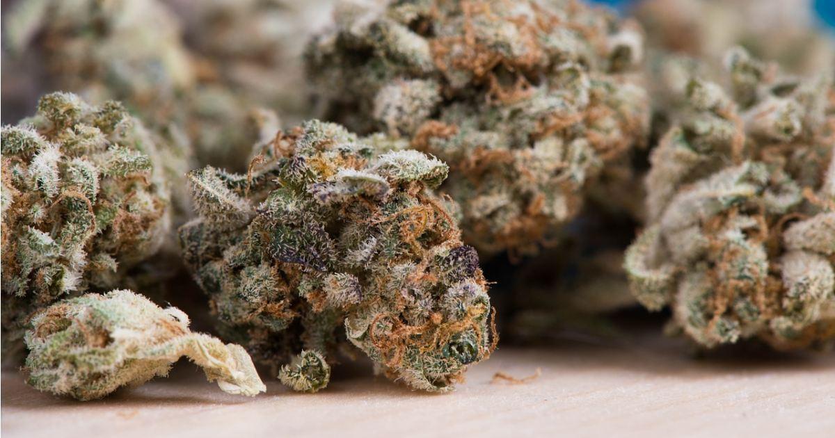 Minnesota legal marijuana