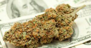 washington state Marijuana Taxes
