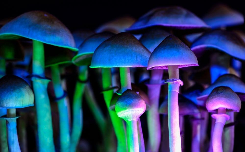 Bill To Legalize Psychedelics Passed By California Senate Committee