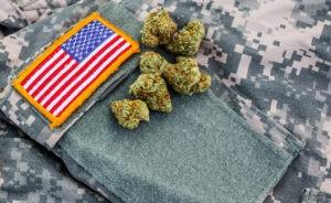 U.S. Veterans cannabis