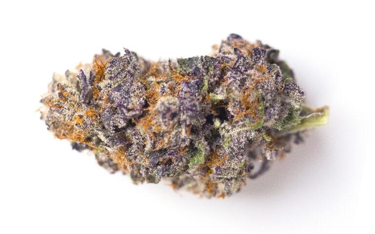 Indiana: Legislation to Decriminalize Marijuana Possession Filed in ...
