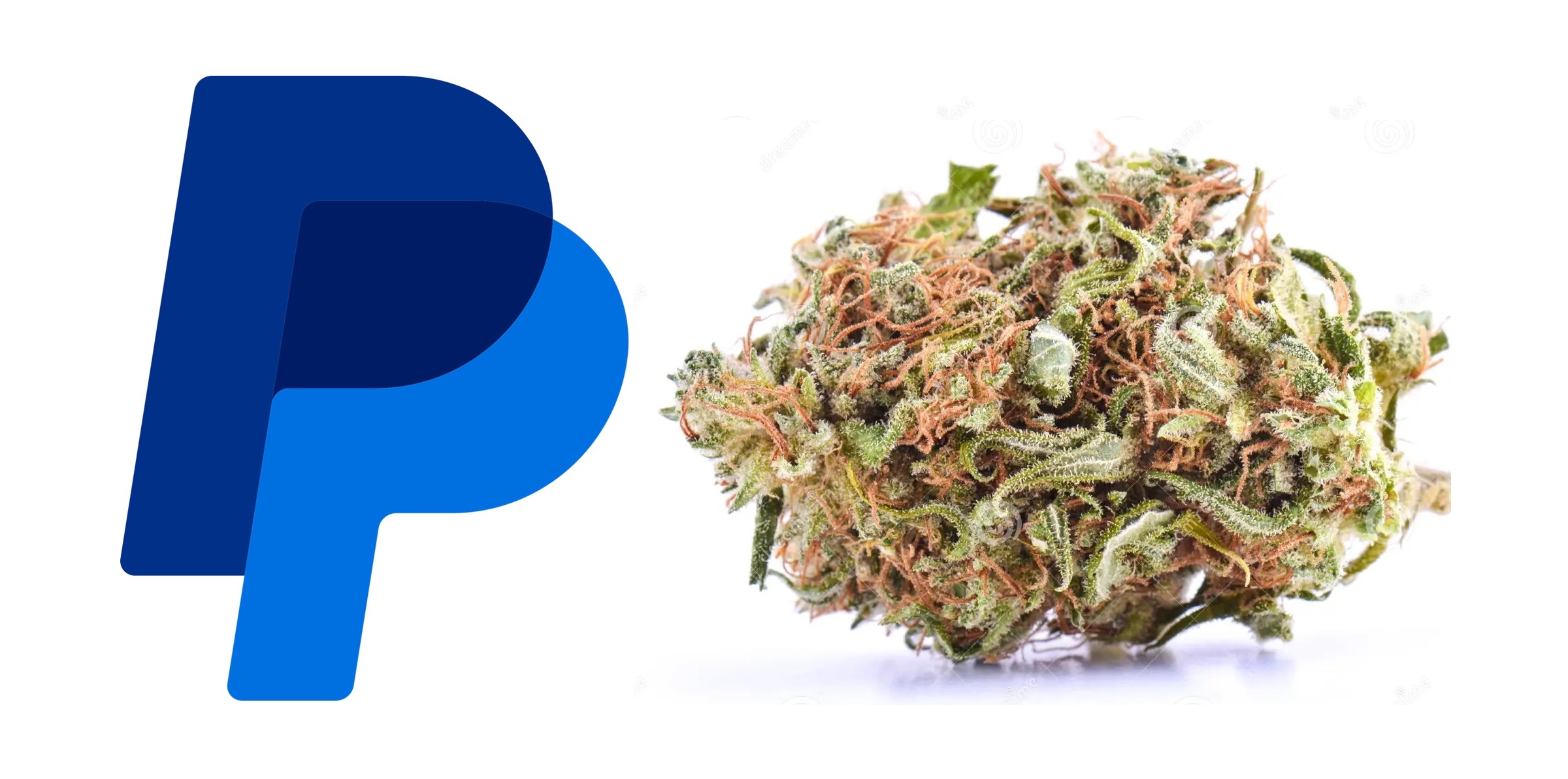 PayPal Reports Lobbying Congress on Marijuana Banking Reform in Third Quarter