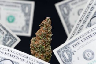Massachusetts Marijuana Sales Top $1.45 Billion in 2026, Reach Nearly $12 Billion All-Time, New Stat...