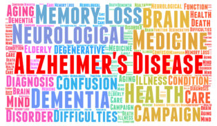 Study Finds CBD Reduces Alzheimer's-Related Brain Plaques and Inflammation
