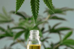 CBD Reduces Seizures by at Least Half in Nearly 50% of Children With Drug-Resistant Epilepsy, Major ...