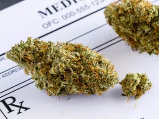 Massachusetts Marijuana Regulators Detail Plans to Eliminate Medical Patient Residency Requirement, ...