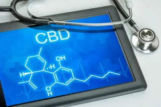 Study Finds CBD May Reduce Long-Term Memory Impairments Caused by Adolescent Stress
