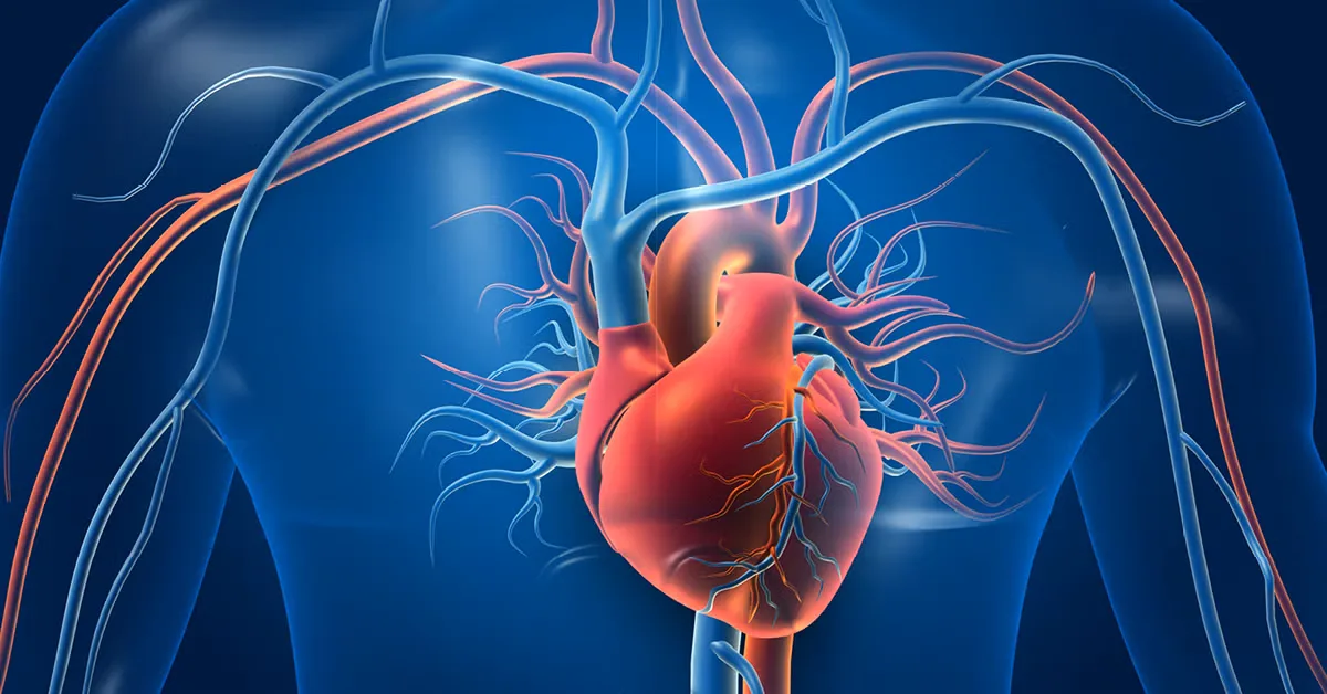 Study of Hundreds of Young Adults Finds No Significant Difference in Arterial Stiffness Between Marijuana Users and Nonusers