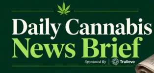 Daily Cannabis News Brief for 10/16/2026