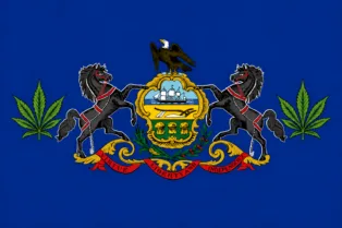 Pennsylvania Allows Medical Marijuana Businesses to Monitor Security Cameras Remotely Under New Guid...