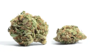 The Top-Selling Marijuana Strain in All 23 States With Legal Recreational Sales (as of September 202...