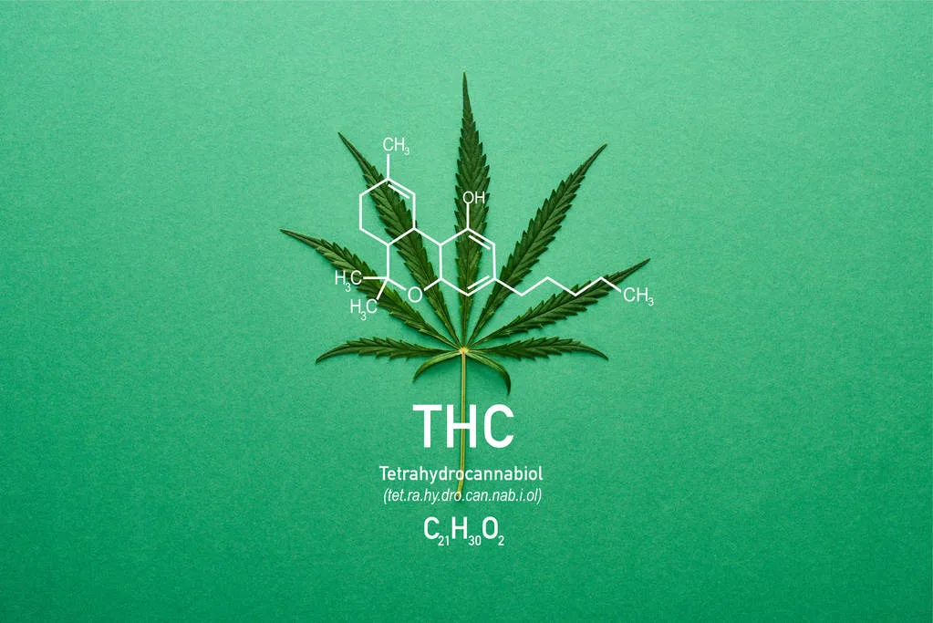 Study Finds THC Suppresses Inflammatory T-Cell Response Linked to HIV-Related Cognitive Decline