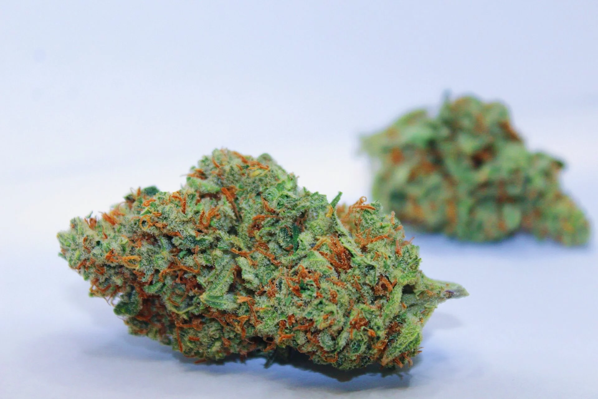 Review Finds Marijuana and Cannabinoids May Improve Overactive Bladder and Other Urinary Symptoms
