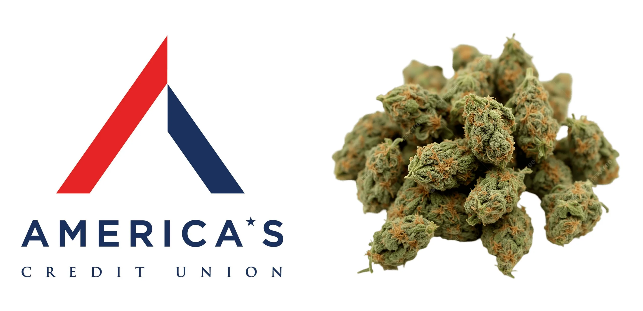 America’s Credit Unions Reports Continued Federal Lobbying on Marijuana Banking in New Disclosure