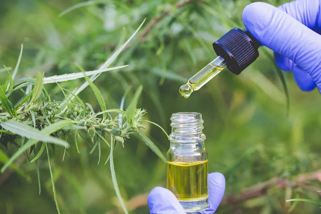 New Systematic Review Finds CBD May Improve Wound Healing, Collagen Production and Skin Repair