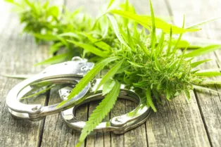 New Analysis Finds Black Americans Accounted for 83% of Nationwide Increase in Marijuana Arrests