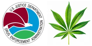 DEA Urges Judge to Reject Effort to Reopen Marijuana Rescheduling Hearing, Calls Discovery Request a...