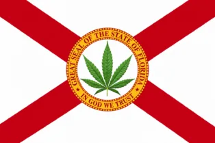 Florida Medical Marijuana Patients Purchased 426.7 Million Milligrams of THC Last Week, With Patient...