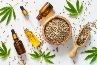 Hemp Seed Extract Significantly Reduced Cholesterol in Animal Model, Shows Favorable Safety Profile