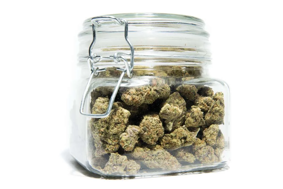 Illinois Marijuana Retailers Sold to Minors in Just 6 of 1,452 State Compliance Checks