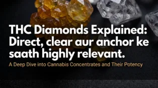 THC Diamonds Explained: What They Are and Why Cannabis Enthusiasts Love Them